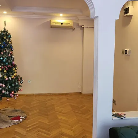 Big House Apartment